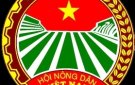Hội Nông Dân xã Thiệu Toán thành lập Tổ Hợp Tác nghề Mây Song Xiên